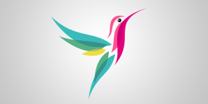 google-hummingbird-algorithm